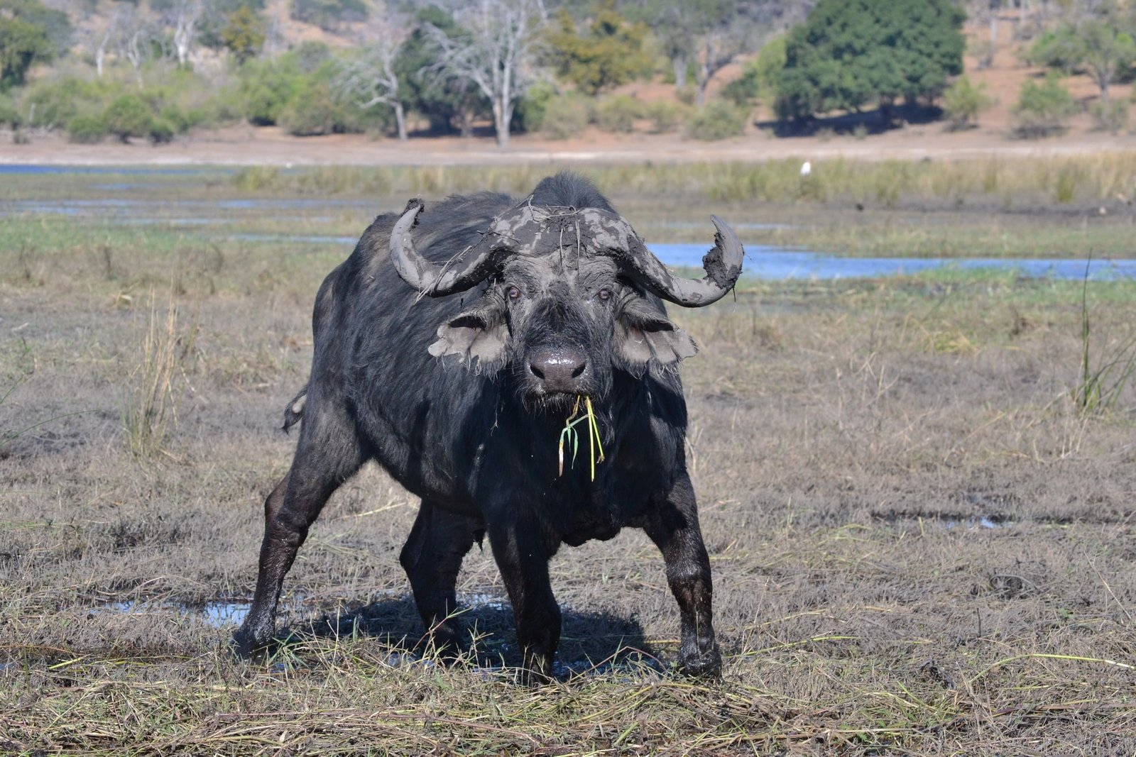 Hwange National Park