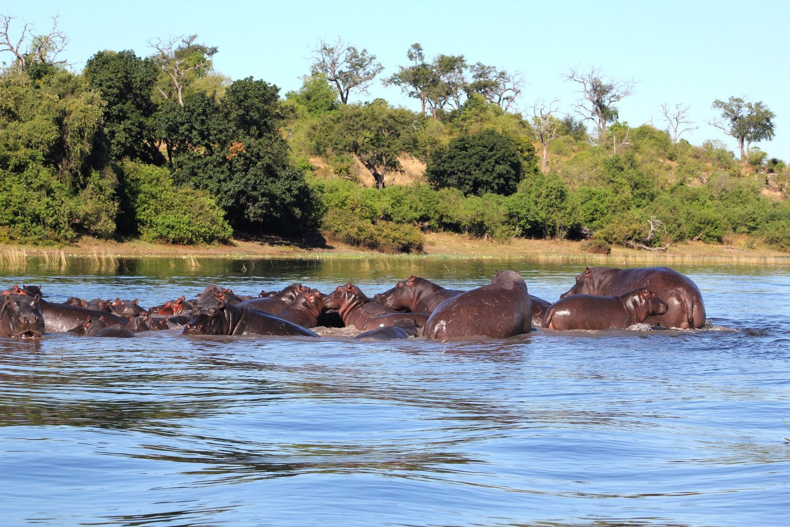 Livingstone - Zambia 
