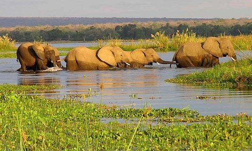 Maun - Botswana 