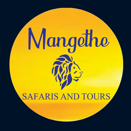 Footer Logo