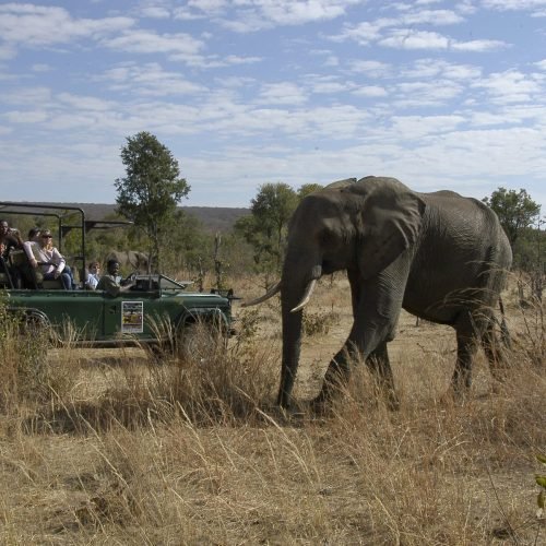 GAME DRIVE ELI-min